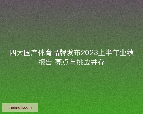 四大国产体育品牌发布2023上半年业绩报告 亮点与挑战并存