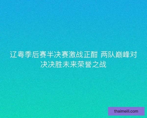 辽粤季后赛半决赛激战正酣 两队巅峰对决决胜未来荣誉之战