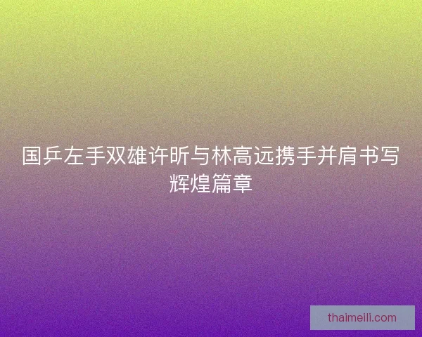 国乒左手双雄许昕与林高远携手并肩书写辉煌篇章